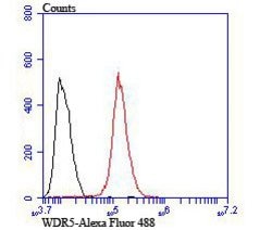 Invitrogen WDR5 Polyclonal Antibody 100 &mu;L; Unconjugated:Antibodies,