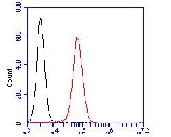 Invitrogen PLCG2 Polyclonal Antibody 100 &mu;L; Unconjugated:Antibodies,
