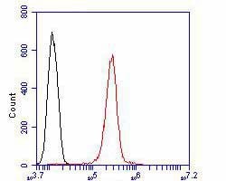 Invitrogen PKM2 Polyclonal Antibody 100 &mu;L; Unconjugated:Antibodies,