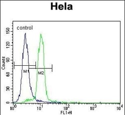 Invitrogen E6AP Polyclonal Antibody 400 &mu;L; Unconjugated:Antibodies,