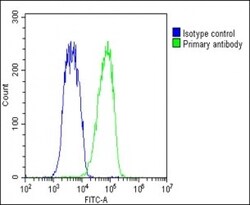 Invitrogen BAP1 Polyclonal Antibody 400 &mu;L; Unconjugated:Antibodies,