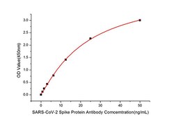 Invitrogen SARS-CoV-2 Spike Protein S1 Polyclonal Antibody 100 &mu;L; Unconjugated:Antibodies,