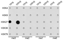 Invitrogen H3K27me3 Polyclonal Antibody 100 &mu;L; Unconjugated:Antibodies,