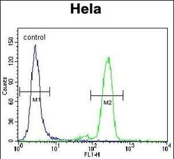 Invitrogen PML Polyclonal Antibody 400 &mu;L; Unconjugated:Anticuerpos