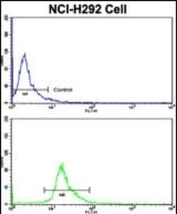Invitrogen EPCR Polyclonal Antibody 400 &mu;L; Unconjugated:Anticuerpos