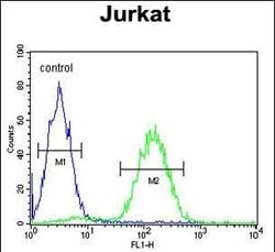 Invitrogen MAGEA3 Polyclonal Antibody 400 &mu;L | Buy Online | Invitrogen&trade; | Fisher Scientific