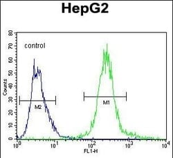 Invitrogen Septin-9 Polyclonal Antibody 400 &mu;L; Unconjugated:Antibodies,