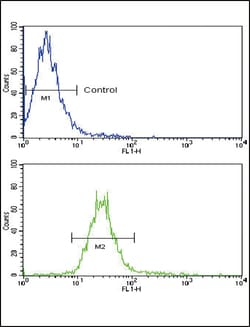Invitrogen NRG1 Polyclonal Antibody 400 &mu;L; Unconjugated:Antibodies,