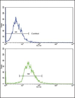 Invitrogen CD82 Polyclonal Antibody 400 μL; Unconjugated:Antibodies,