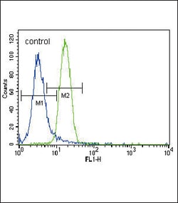 Invitrogen Parkin Polyclonal Antibody 400 &mu;L | Buy Online | Invitrogen&trade; | Fisher Scientific