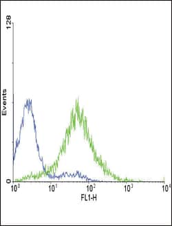 Invitrogen Endothelin A Receptor Polyclonal Antibody 400 &mu;L; Unconjugated:Antibodies,