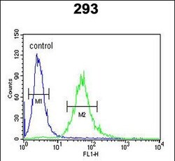 Invitrogen CEA Polyclonal Antibody 400 &mu;L; Unconjugated:Antibodies,