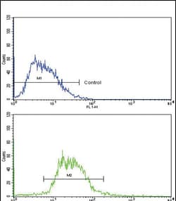 Invitrogen Glucagon Polyclonal Antibody 400 &mu;L; Unconjugated:Antibodies,