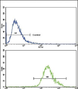 Invitrogen CNOT8 Polyclonal Antibody 400 &mu;L; Unconjugated:Antibodies,