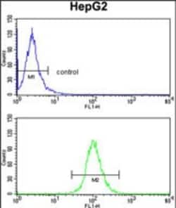 Invitrogen DCL-1 Polyclonal Antibody 400 &mu;L; Unconjugated:Antibodies,