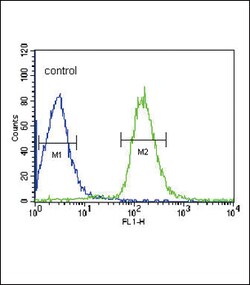 Invitrogen Albumin Polyclonal Antibody 200 &mu;L; Unconjugated:Antibodies,
