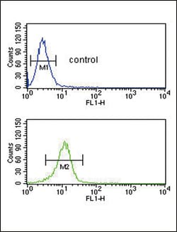 Invitrogen CD154 (CD40 Ligand) Polyclonal Antibody 400 &mu;L | Buy Online | Invitrogen&trade; | Fisher Scientific