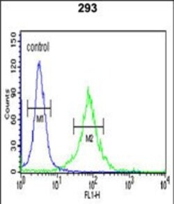 Invitrogen AMER1 Polyclonal Antibody 400 μL; Unconjugated:Antibodies,