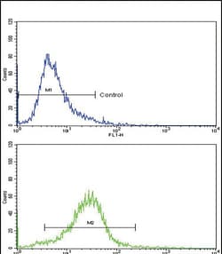 Invitrogen COL6A1 Polyclonal Antibody 400 &mu;L; Unconjugated:Antibodies,