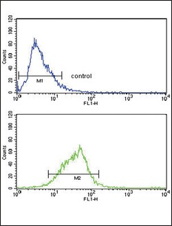 Invitrogen AOX1 Polyclonal Antibody 400 &mu;L | Buy Online | Invitrogen&trade; | Fisher Scientific