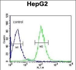 Invitrogen SERPINC1 Polyclonal Antibody 400 &mu;L; Unconjugated:Antibodies,