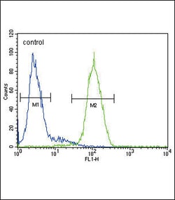 Invitrogen alpha Galactosidase Polyclonal Antibody 400 &mu;L; Unconjugated:Antibodies,