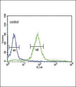 Invitrogen HPRT1 Polyclonal Antibody 400 &mu;L; Unconjugated:Antibodies,