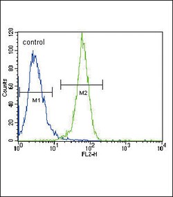 Invitrogen PGK1 Polyclonal Antibody 400 &mu;L; Unconjugated:Antibodies,