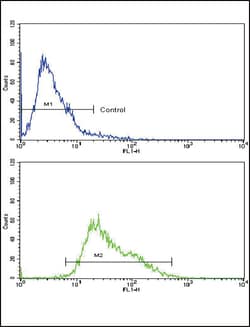 Invitrogen AMHR2 Polyclonal Antibody 400 &mu;L; Unconjugated:Antibodies,