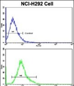 ELF4 Polyclonal Antibody:Antibodies, Polyclonal