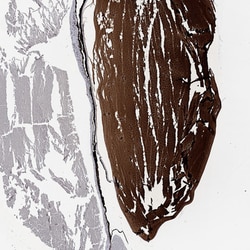 Invitrogen CRYGA Polyclonal Antibody 100 &mu;L; Unconjugated:Antibodies,