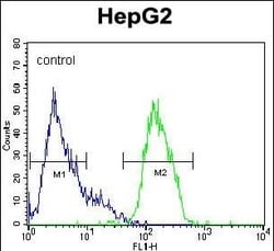 Invitrogen ERK2 Polyclonal Antibody 400 &mu;L; Unconjugated:Antibodies,