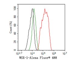 Invitrogen TCCR Polyclonal Antibody 100 &mu;L; Unconjugated:Antibodies,