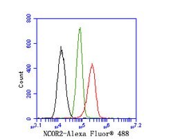 Invitrogen NCoR2 Polyclonal Antibody 100 &mu;L; Unconjugated:Antibodies,