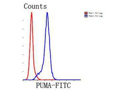 PUMA alpha/beta Polyclonal Antibody:Antibodies, Polyclonal