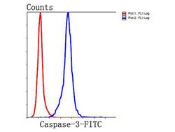 Invitrogen Caspase 3 Polyclonal Antibody 100 &mu;L; Unconjugated:Antibodies,