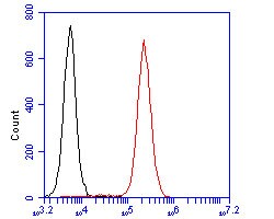 Invitrogen CD8 alpha Polyclonal Antibody 100 &mu;L; Unconjugated:Antibodies,