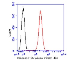 Connexin 26 Polyclonal Antibody 100 &mu;L | Buy Online | Thermo Scientific | Fisher Scientific