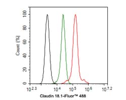 Invitrogen Claudin 18 Polyclonal Antibody 100 &mu;L; Unconjugated:Antibodies,