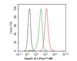Invitrogen Claudin 18 Polyclonal Antibody 100 &mu;L; Unconjugated:Antibodies,