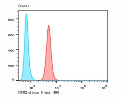 Invitrogen IP3 Receptor 2 Polyclonal Antibody 100 &mu;L; Unconjugated:Antibodies,