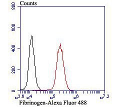 Invitrogen Fibrinogen Polyclonal Antibody 100 &mu;L; Unconjugated:Antibodies,