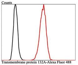 Invitrogen TMEM132A Polyclonal Antibody 100 &mu;L; Unconjugated:Antibodies,