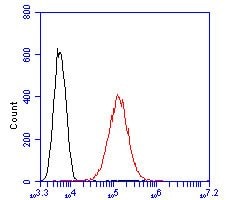 Invitrogen TMEM67 Polyclonal Antibody 100 &mu;L; Unconjugated:Antibodies,