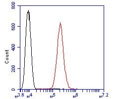 Invitrogen ARF1 Polyclonal Antibody 100 &mu;L; Unconjugated:Antibodies,