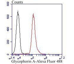 Invitrogen CD235a (Glycophorin A) Polyclonal Antibody 100 &mu;L; Unconjugated:Antibodies,