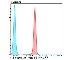 Invitrogen CD3 zeta (CD247) Polyclonal Antibody 100 &mu;L; Unconjugated:Antibodies,