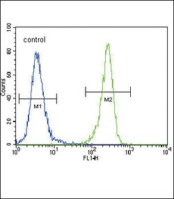 Invitrogen MCK10 Polyclonal Antibody 400 &mu;L; Unconjugated:Antibodies,