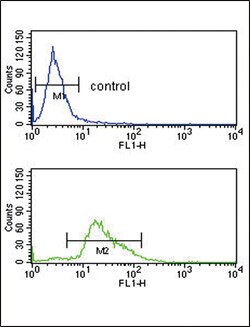 Invitrogen Plasminogen Polyclonal Antibody 400 &mu;L; Unconjugated:Antibodies,