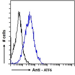 Invitrogen ATF6 Polyclonal Antibody 100 &mu;g; Unconjugated:Antibodies,